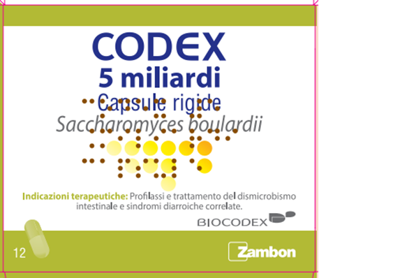 CODEX*12CPS 5MLD 250MG - Parafarmacia Mostacciano