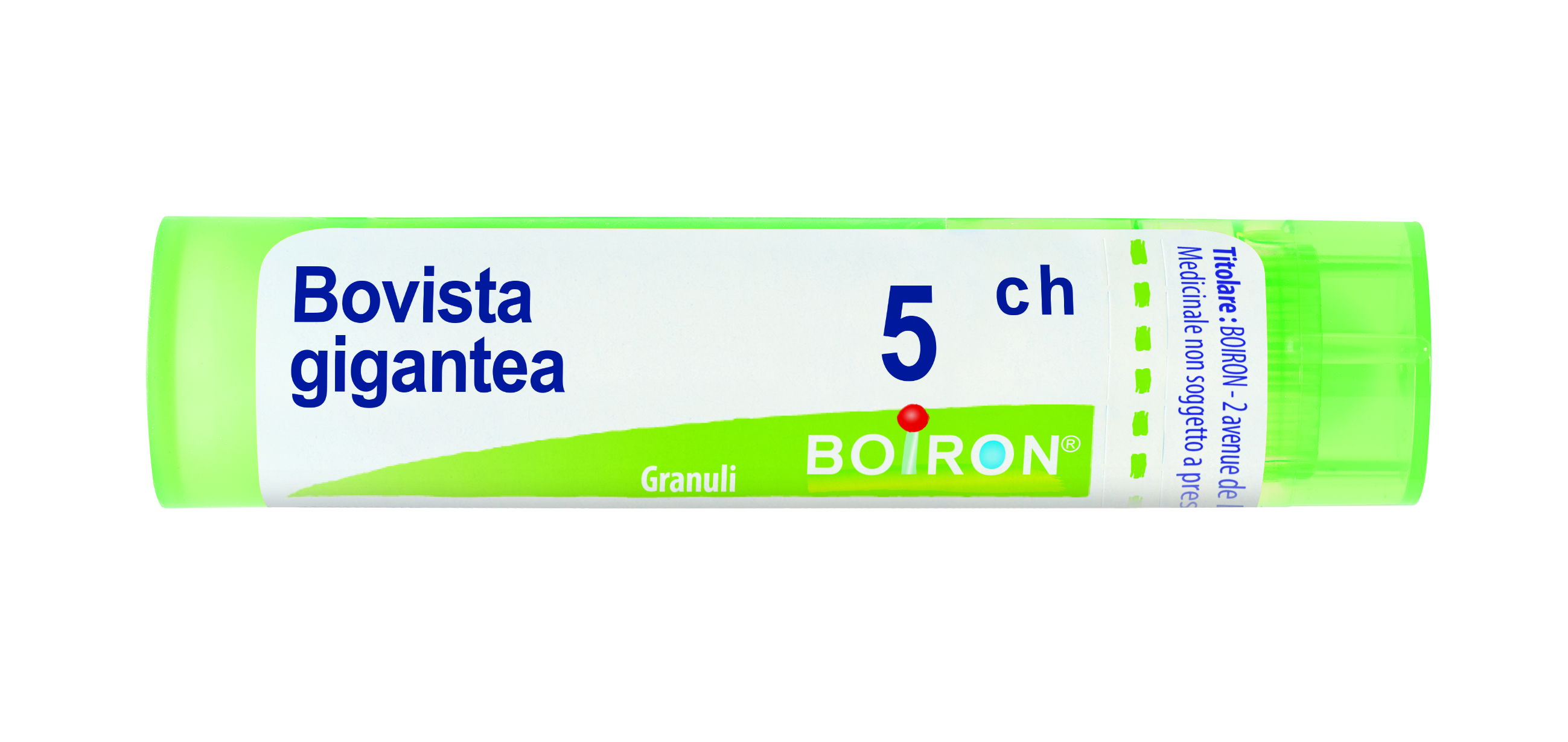 BOVISTA GIGANTEA*5CH 80GR 4G - Parafarmacia Mostacciano