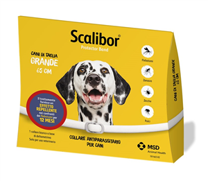 SCALIBOR PROTECTOR BAND*BI65CM - Parafarmacia Mostacciano