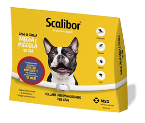 SCALIBOR PROTECTOR BAND*BI48CM - Parafarmacia Mostacciano