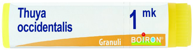 THUYA OCCIDENTALIS MK GLOBULI - Parafarmacia Mostacciano