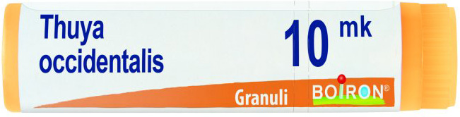 THUYA OCCIDENTALIS XMK GLOBULI - Parafarmacia Mostacciano