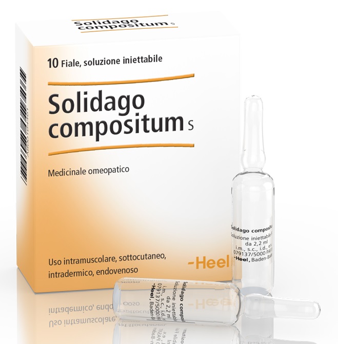 HEEL SOLIDAGO COMPOSITUM 10 FIALE DA 2,2 ML L'UNA - Parafarmacia Mostacciano