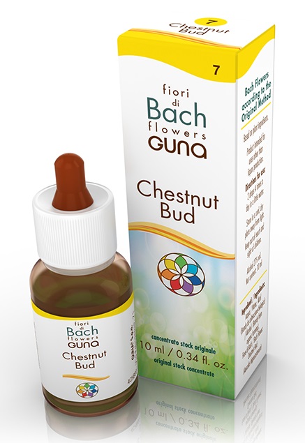 CHESTNUT BUD GOCCE 10 ML - Parafarmacia Mostacciano