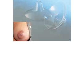 AMEDA CAPPELETTI SENO MEDIA 2 PEZZI - Parafarmacia Mostacciano