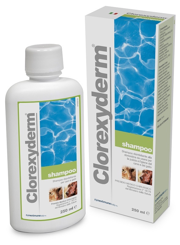 CLOREXYDERM SHAMPOO 250 ML - Parafarmacia Mostacciano