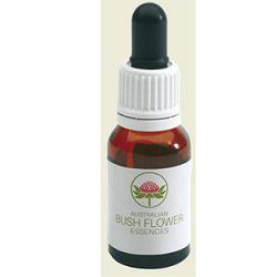 SHE OAK AUSTRALIAN 15ML GTT - Parafarmacia Mostacciano