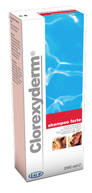 CLOREXYDERM SHAMPOO FORTE 200 ML - Parafarmacia Mostacciano