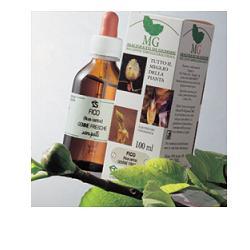 FRASSINO 100ML MG - Parafarmacia Mostacciano