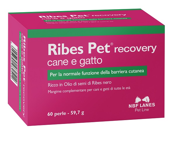 RIBES PET RECOVERY BLISTER 60 PERLE - Parafarmacia Mostacciano