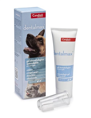 DENTALMAX GEL STOMATOLOGICO 50 ML - Parafarmacia Mostacciano