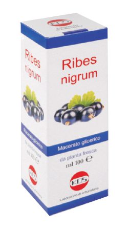 RIBES NIGRUM MG 100 ML GOCCE - Parafarmacia Mostacciano
