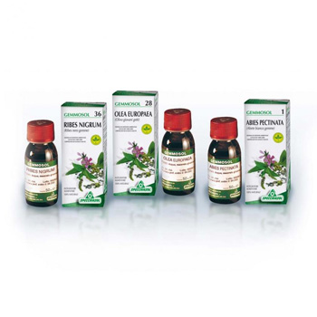 GEMMOSOL 46 TIGLIO ARGEN 50ML - Parafarmacia Mostacciano
