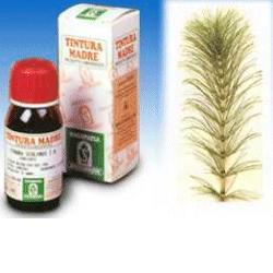 EQUISETO 12 50ML TM - Parafarmacia Mostacciano