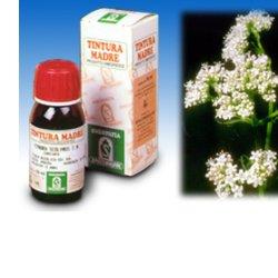 VALERIANA 36 TINTURA MADRE 50 ML - Parafarmacia Mostacciano