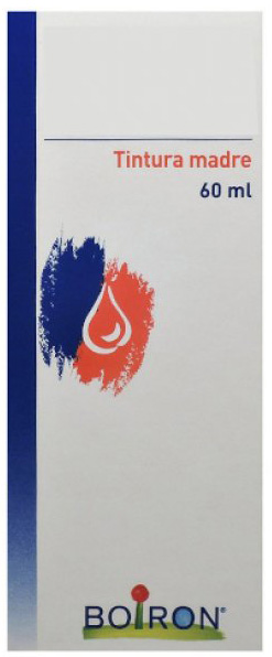 TARAXACUM TINTURA MADRE 60 ML - Parafarmacia Mostacciano