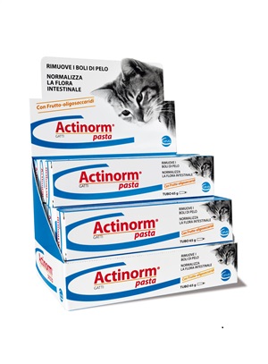 ACTINORM PASTA GATTI 65G - Parafarmacia Mostacciano