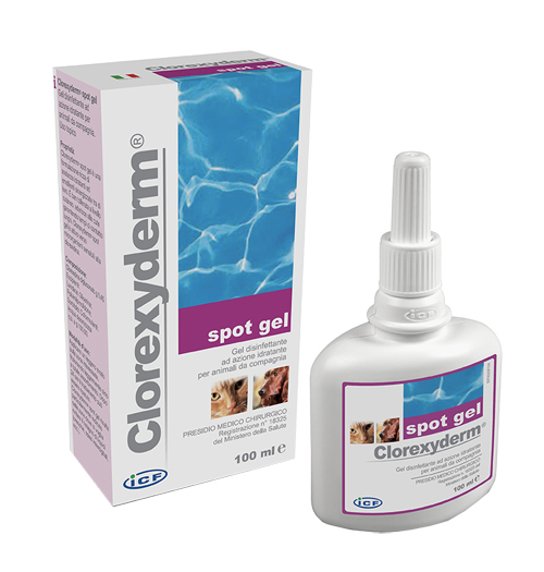 CLOREXYDERM SPOT GEL 100ML - Parafarmacia Mostacciano
