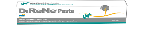DIRENE PASTA 15 ML - Parafarmacia Mostacciano