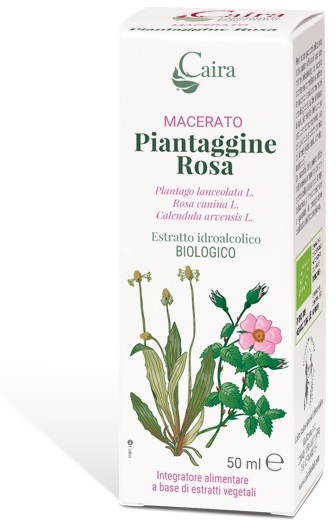 CAIRA PIANTAGGINE ROSA MACERATO IDROALCOLICO GOCCE 50 ML - Parafarmacia Mostacciano