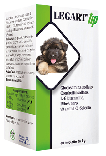 LEGART UP 60 COMPRESSE DA 1 G - Parafarmacia Mostacciano
