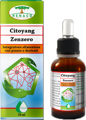 CITOYANG ZENZERO GOCCE FLACONCINO 50 ML - Parafarmacia Mostacciano