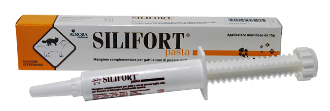 SILIFORT PASTA OS SIRINGA 15 G - Parafarmacia Mostacciano
