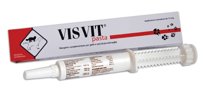 VISVIT PASTA OS SIRINGA 15 G - Parafarmacia Mostacciano