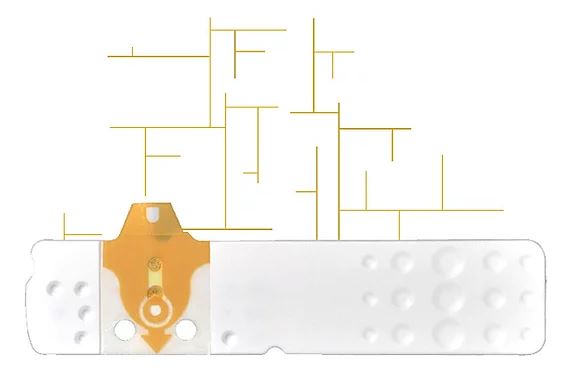 STRISCE MISURAZIONE GLICEMIA LINEA D ORO 50 PEZZI - Parafarmacia Mostacciano