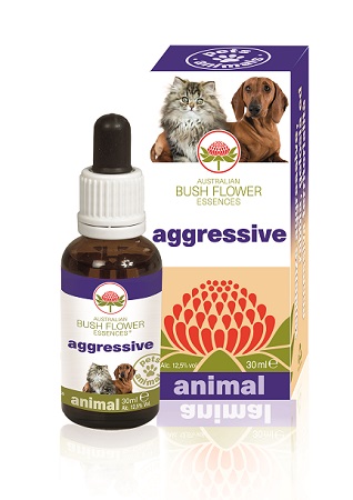 AGGRESSIVE 30 ML - Parafarmacia Mostacciano