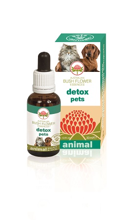 DETOX PETS 30 ML - Parafarmacia Mostacciano