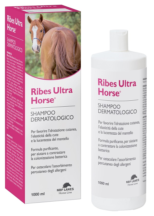 RIBES HORSE ULTRA SHAMPOO DERMATOLOGICO 1 LITRO - Parafarmacia Mostacciano