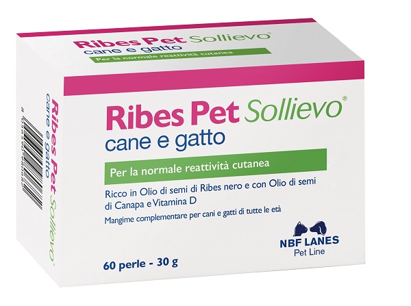 RIBES PET SOLLIEVO BLISTER 60 PERLE - Parafarmacia Mostacciano