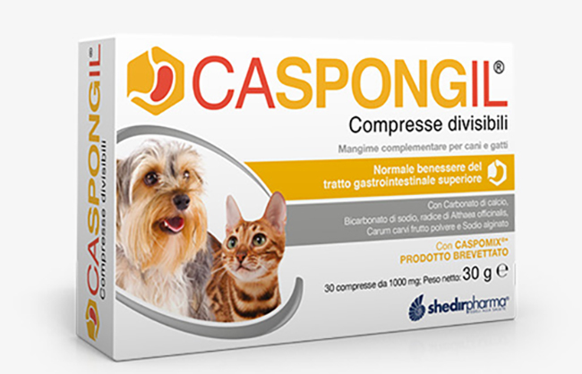CASPONGIL 30 COMPRESSE DIVISIBILI - Parafarmacia Mostacciano