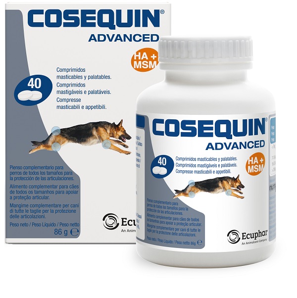 COSEQUIN GATTI 15 CAPSULE - Parafarmacia Mostacciano