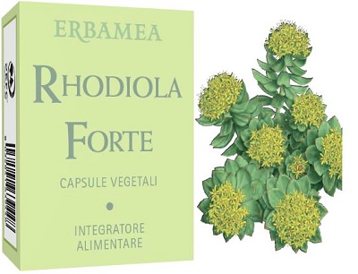 RHODIOLA FORTE 24 CAPSULE - Parafarmacia Mostacciano