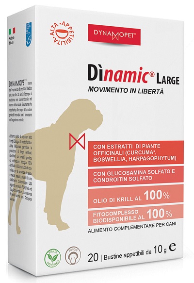 DINAMIC LARGE 20 BUSTINE 10 G - Parafarmacia Mostacciano