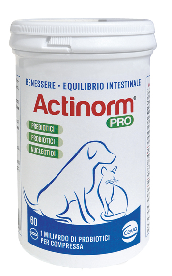 ACTINORM PRO FLACONE 60 COMPRESSE - Parafarmacia Mostacciano