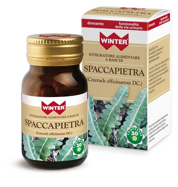 SPACCAPIETRA 30 COMPRESSE WINTER - Parafarmacia Mostacciano