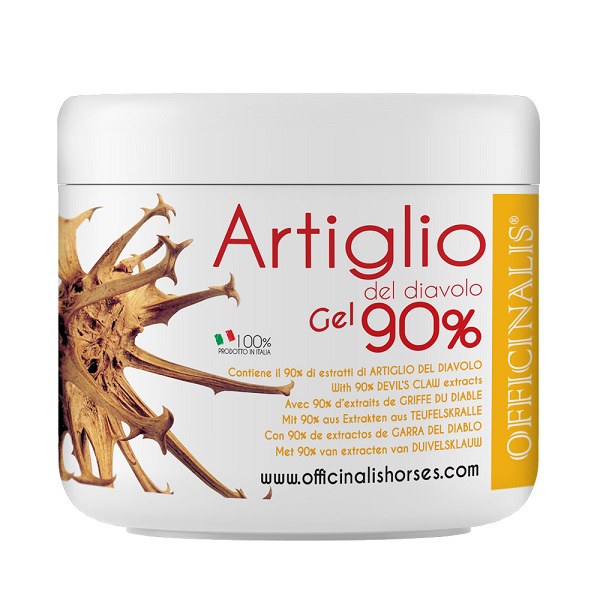 ARNICA GEL 90% 250 ML - Parafarmacia Mostacciano