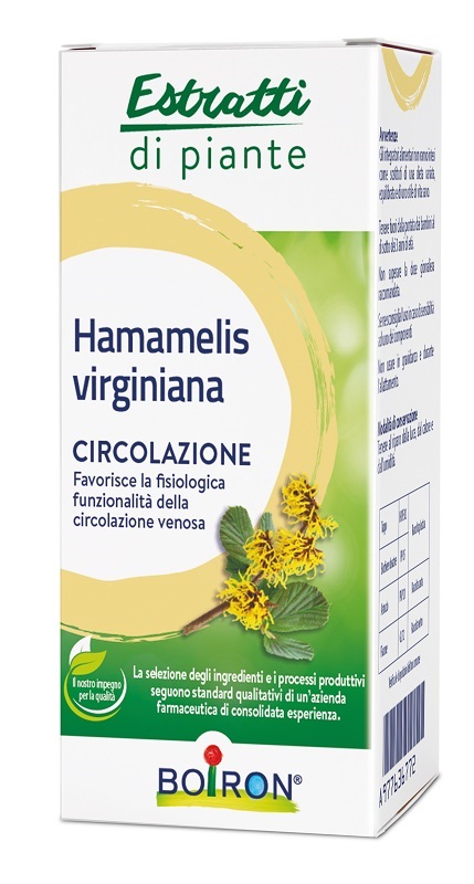HAMAMELIS VIRGINIANA ESTRATTO IDROALCOLICO 60 ML - Parafarmacia Mostacciano