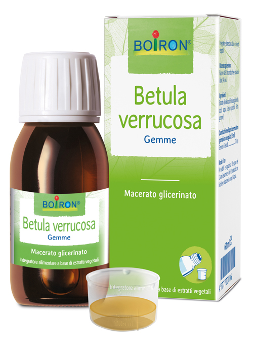 BETULA VERRUCO MACERATO GLICERICO 60 ML INT - Parafarmacia Mostacciano