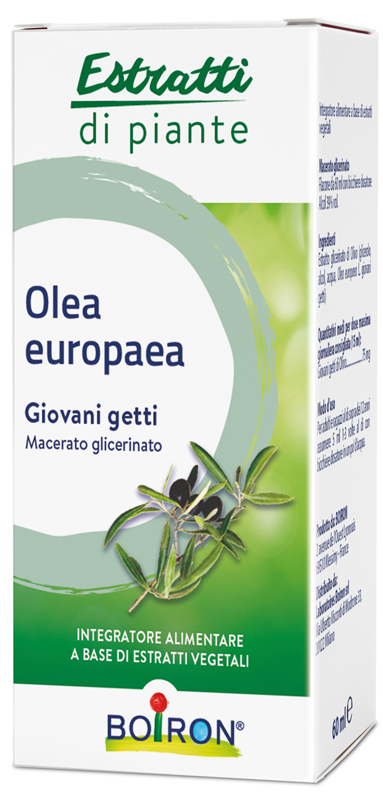 OLEA EUROPAEA MACERATO GLICERICO 60 ML INT - Parafarmacia Mostacciano