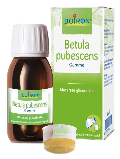 BETULA PUBESCENS MACERATO GLICERICO 60 ML INT - Parafarmacia Mostacciano