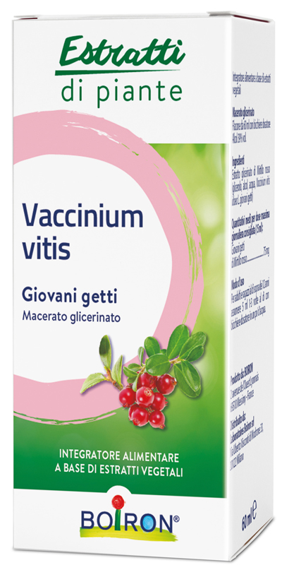 VACCINIUM VITIS MACERATO GLICERICO 60 ML INT - Parafarmacia Mostacciano