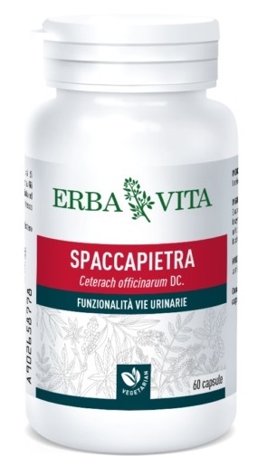 SPACCAPIETRA 60 CAPSULE - Parafarmacia Mostacciano