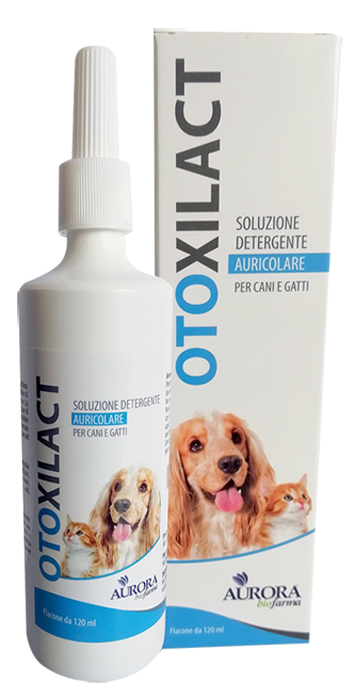 OTOXILACT DETERGENTE AURICOLARE - Parafarmacia Mostacciano