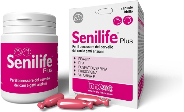 SENILIFE PLUS 60 CAPSULE - Parafarmacia Mostacciano