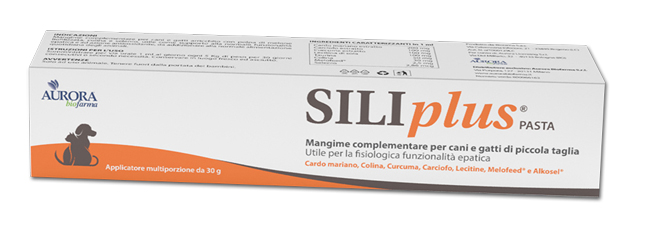 SILIPLUS PASTA 30 G - Parafarmacia Mostacciano