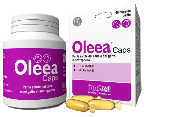 OLEEA CAPS 60 CAPSULE - Parafarmacia Mostacciano